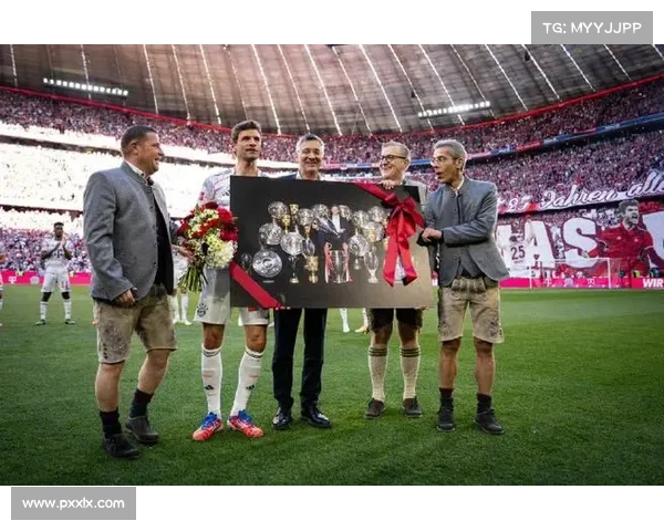 揭秘拜仁体育场背后的命名传奇与隐藏的文化故事