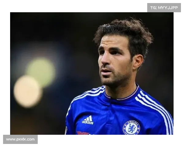 桑切斯加盟后球队表现回顾及其在场上作用分析